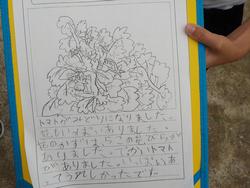５月のつぶやき 松戸市立金ケ作小学校