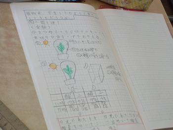 ９月４日 金 の生活 松戸市立金ケ作小学校