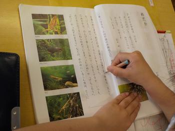６月２２日 火 の生活 松戸市立金ケ作小学校
