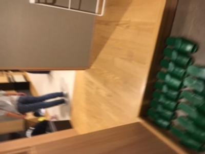 修学旅行6 松戸市立稔台小学校