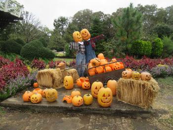 ハロウィンの装飾