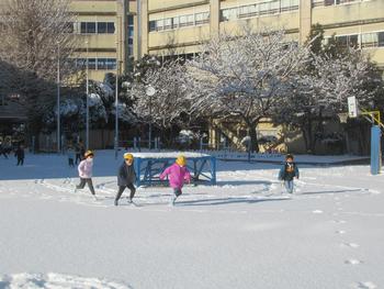 雪原