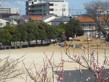 桜咲く