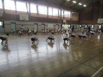 バスケ部
