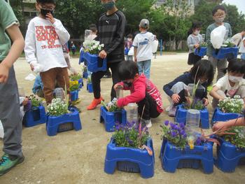 ２年植え替え