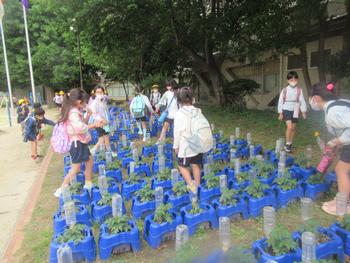 低学年登校