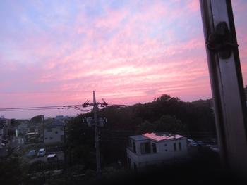 素敵な夕焼け