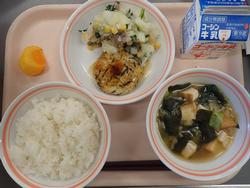 給食