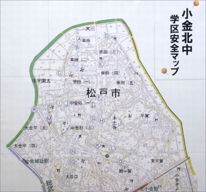 全体