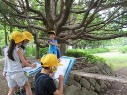 １年公園探険写真１