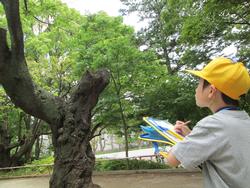 １年公園探険写真２