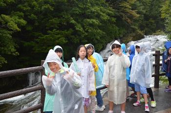 水量が多く迫力満点