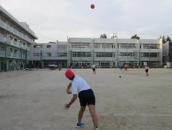 明日は陸上大会