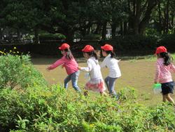 １年虫取り中央公園