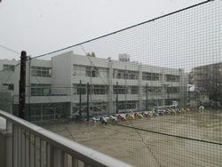 季節外れの雪