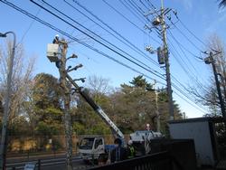 校舎の前の剪定作業