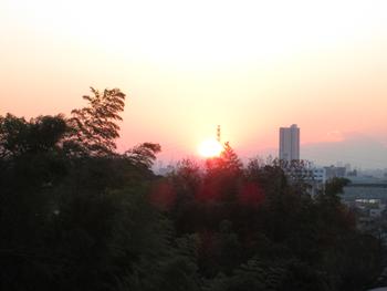 きれいな夕日
