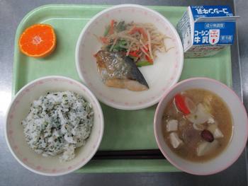 １１日写真